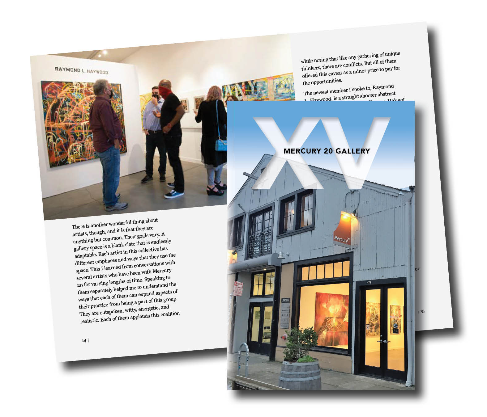 Mercury 20 Gallery at XV: 15 Years of Art and Community